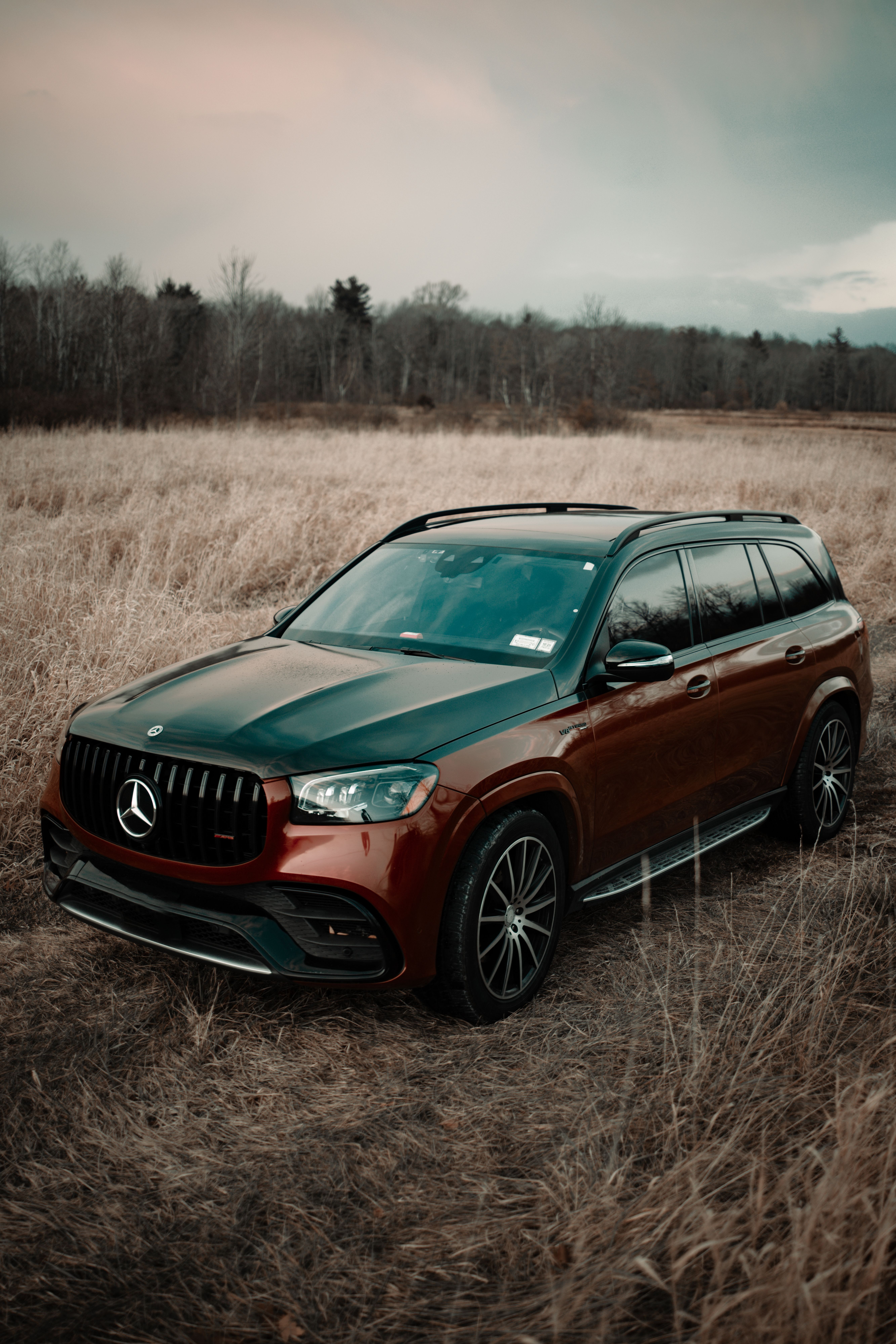 Mercedes GLS – Tarif 1 Premium Intensivreinigung